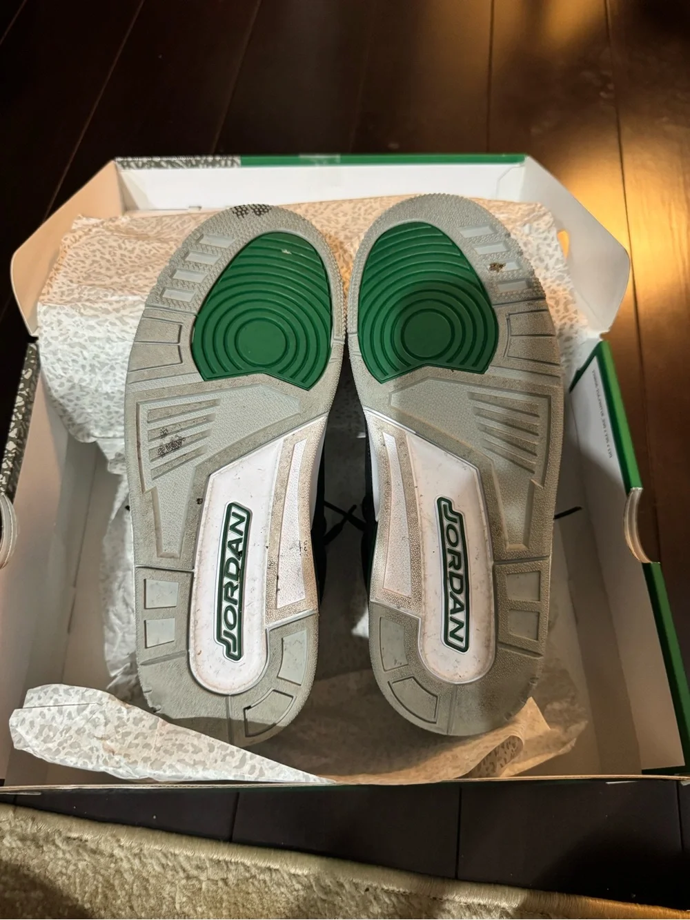 Air Jordan Black and Green Sneakers with Elephant Print